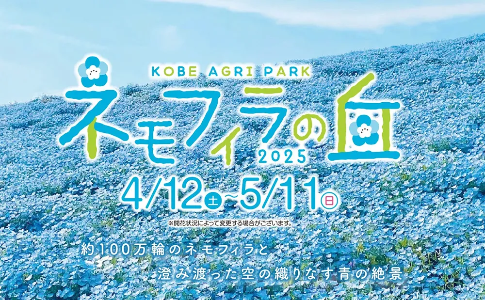 ネモフィラの丘